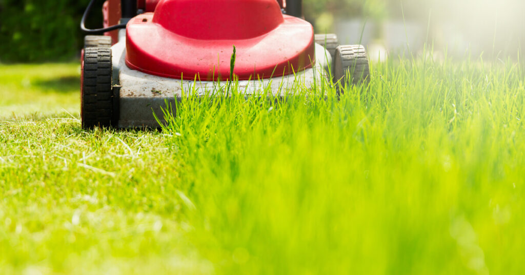 Lawn Mowing services